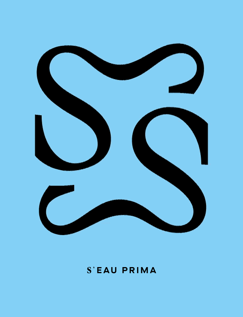 SP_Logo_Animation