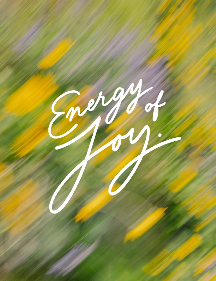 ProbaHoka_03Michelitsch_MMCV