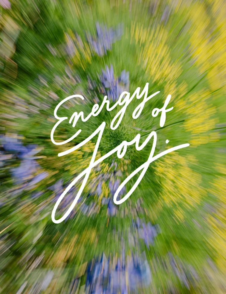 ProbaHoka_06Michelitsch_MMCV