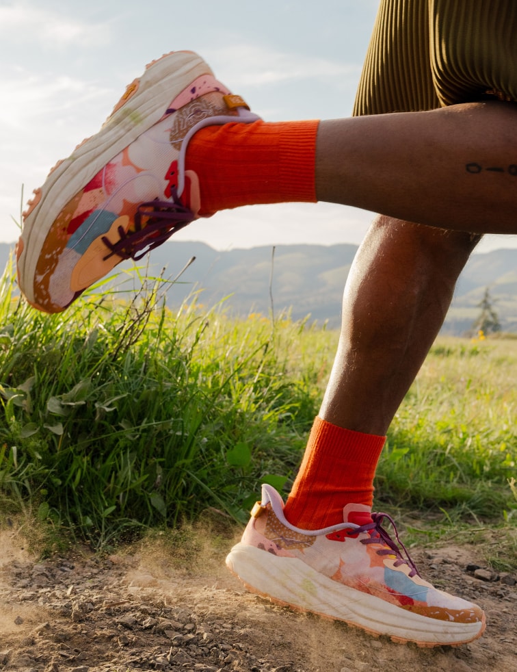 ProbaHoka_10Michelitsch_MMCV